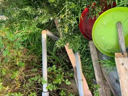 Photo of free Rotary washing line (Penland Wood) #2