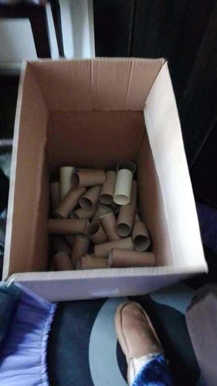 Photo of free Plates and loo roll centres (Ewshot GU10) #2