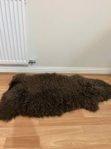 Photo of free Brown fluffy rug (Dennistoun, G31) #1
