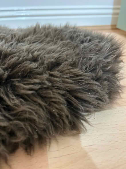 Photo of free Brown fluffy rug (Dennistoun, G31) #2