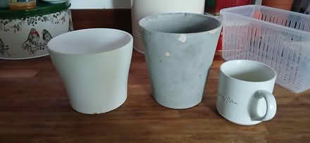 Photo of free 2 plant pots (Ramsgate CT11) #1