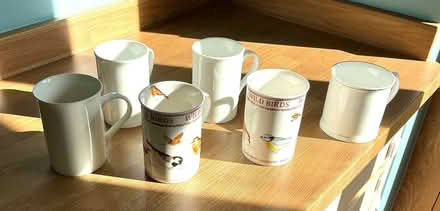 Photo of free Bone china mugs (Golden Green TN11) #2