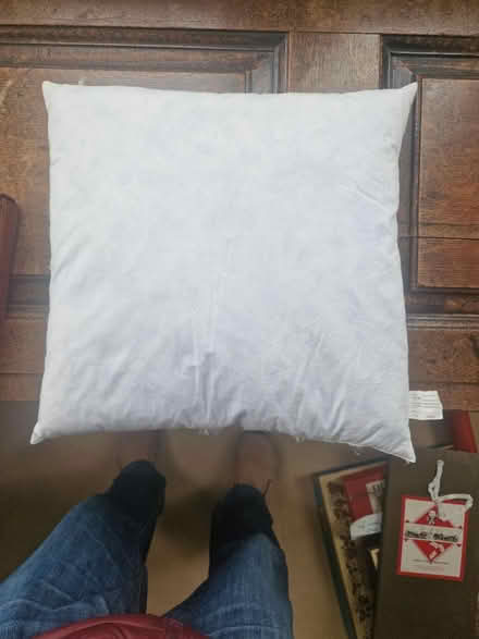 Photo of free 4 feather cushion squabs (Southborough) #2