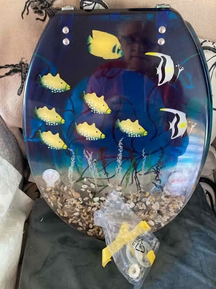 Photo of free Fish decorated toilet seat (Clayton le Woods PR6) #2