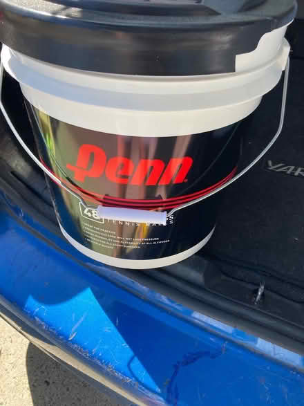 Photo of free Lots of almost new tennis balls (Foothill Boulevard Cupertino) #2