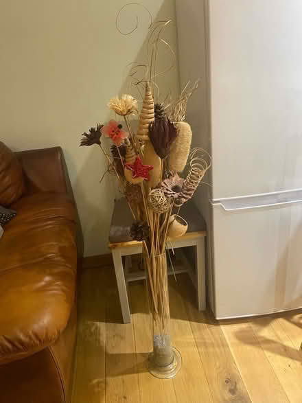 Photo of free Dried plants decorative pot (Bear Flat) #1