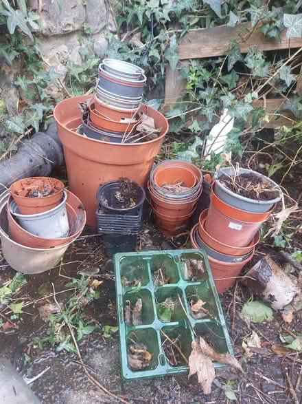 Photo of free Plastic plant pots (Meadowbank, EH8) #1