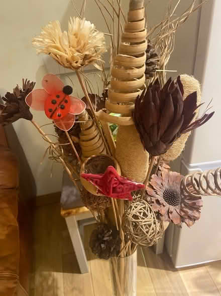 Photo of free Dried plants decorative pot (Bear Flat) #2