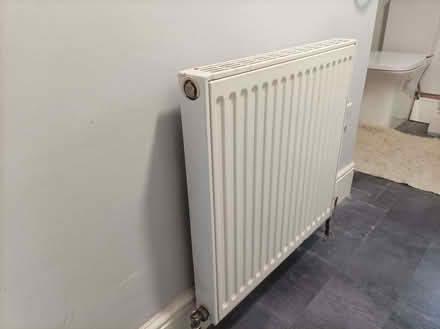 Photo of free Radiator 600mm x600mm double (New Galloway DG7) #1