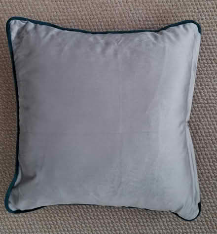 Photo of free Cushions x 2 (Roffey) #2