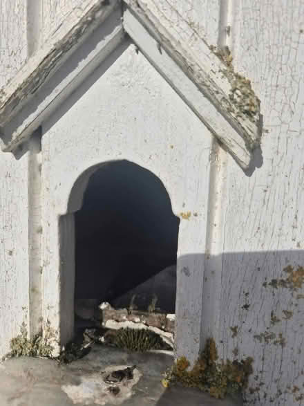 Photo of free Dovecote/Birdhouse (Sudbury CO10) #3