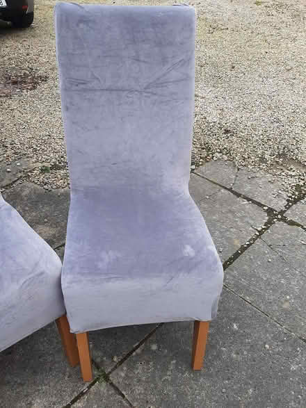 Photo of free 6 dining room chairs (Delgany) #2