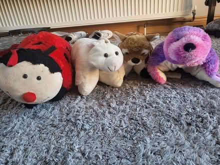 Photo of free pillow pets (Shenley Brook End MK5) #1