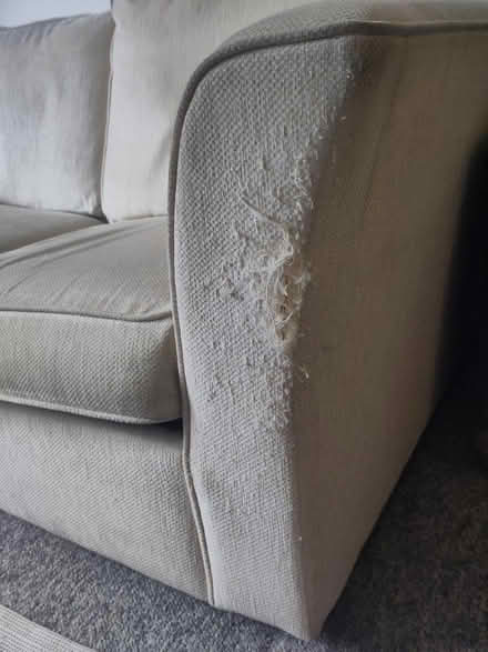 Photo of free Sofa bed (Glasgow Govanhill G42) #2