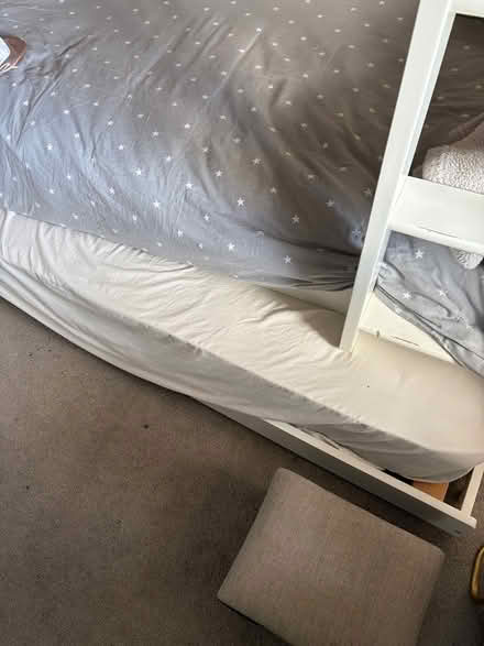 Photo of free bunk beds and trundle (Mortlake SW14) #4