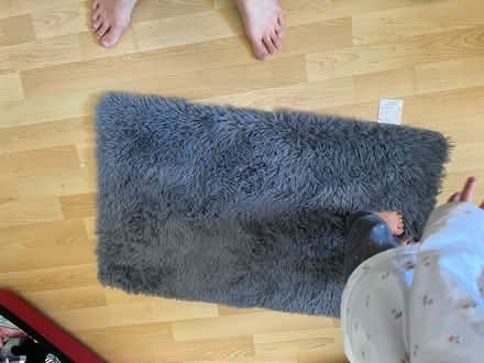 Photo of free Bathroom mat (SE1) #1