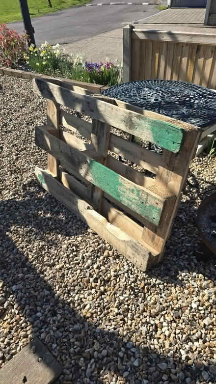 Photo of free A wooden pallet (CT5) #1