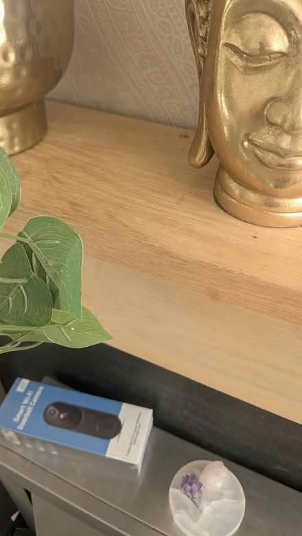 Photo of free Fire surrounds fire not included (Birmingham, Selly Oak) #4