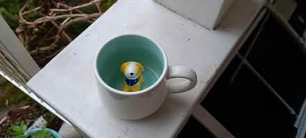 Photo of free secret doggie mug (Maple Leaf) #2