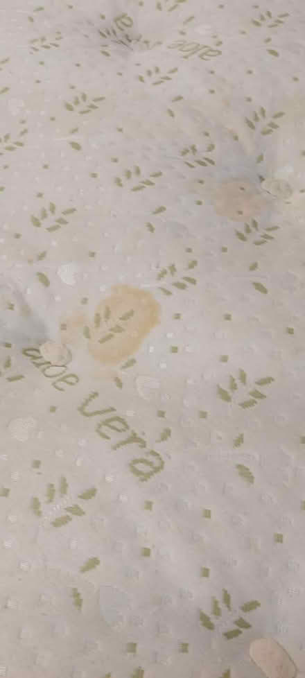 Photo of free Double sprung mattress (Worcester) #3