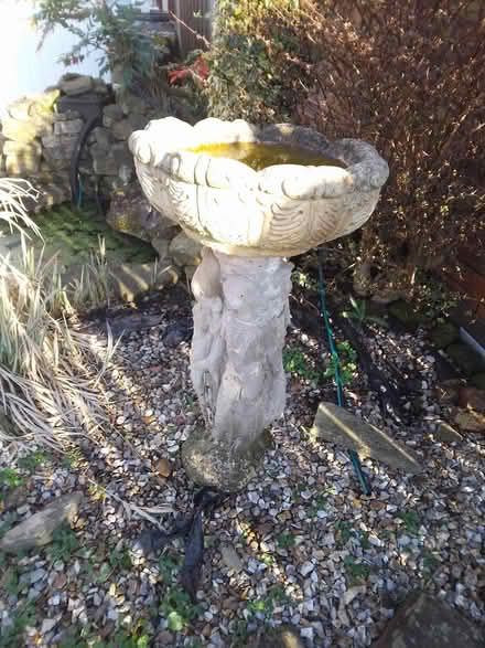 Photo of free Ladies oncrete bird bath (Killamarsh S21) #1