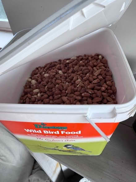Photo of free Bird peanuts (Liss GU33) #1