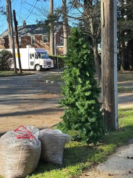Photo of free 7.5 Ft Slim Christmas Tree (Ridgeley Circle) #1