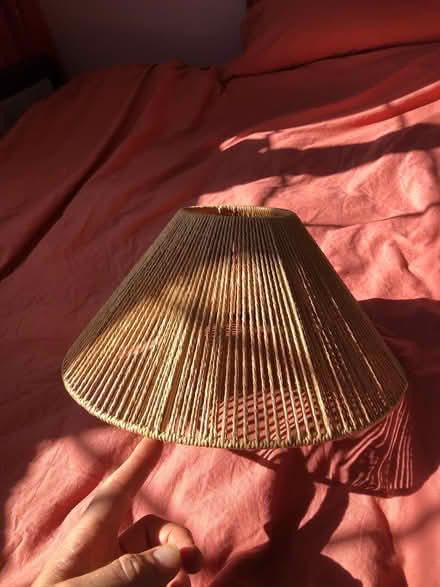 Photo of free lampshade (St Leonards Green TN38) #1