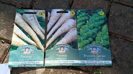 Photo of free 23 packets of seeds (Stanford le hope, SS17) #2