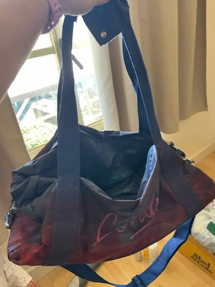 Photo of free Gym bag (SE1) #1