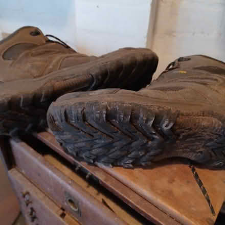 Photo of free Regatta mens walking boots (Denton's Green WA10) #2