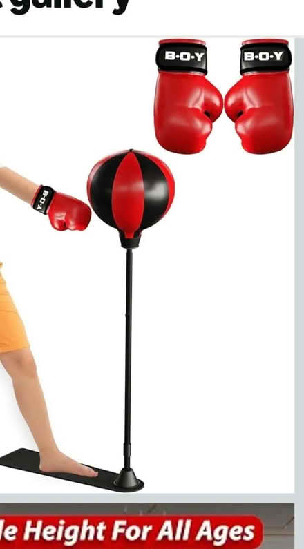 Photo of free Punchball on stand inc new gloves (Woodhouse S13) #1