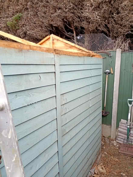 Photo of free Wooden shed (carlton colville) #3