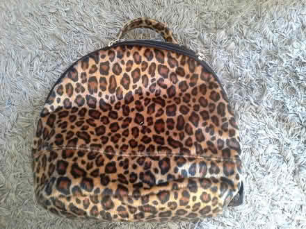 Photo of free small back pack (Shenley Brook End MK5) #1