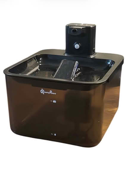 Photo of free Downy Paws (Brooklyn Storage) #1