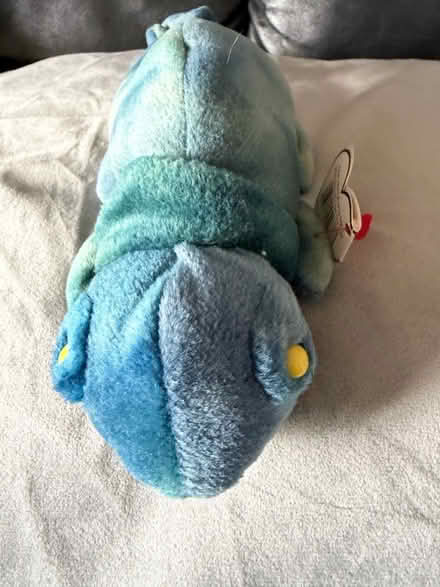 Photo of free TY Cameleon (Westbury Wilts BA13) #1