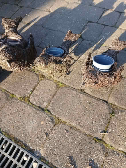 Photo of free Basket Animal Plant Pots (Scrooby DN10) #3