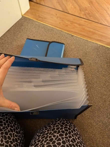 Photo of free 2 A4 concertina files (Lower Penwortham PR1) #1