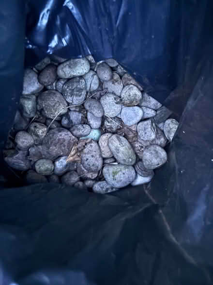 Photo of free Garden stones (WN8 skelmersdale) #2