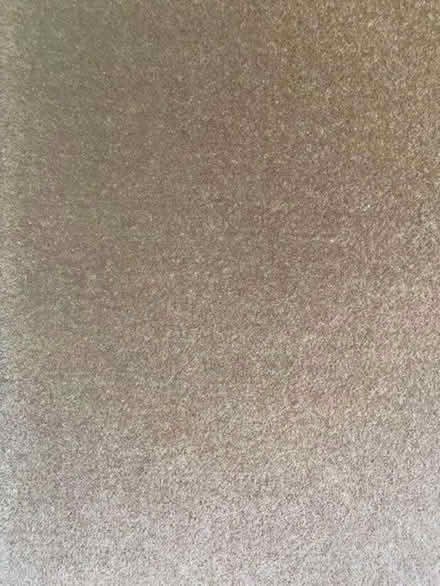 Photo of free Carpet (GU14) #1