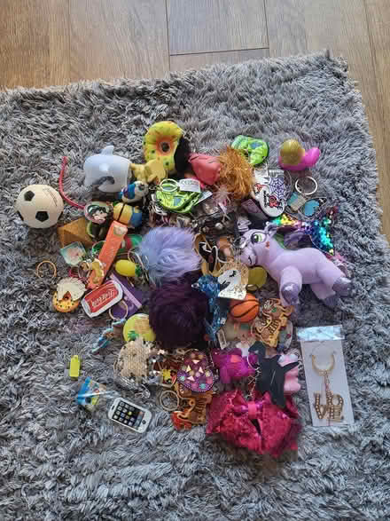 Photo of free keyrings (Shenley Brook End MK5) #1