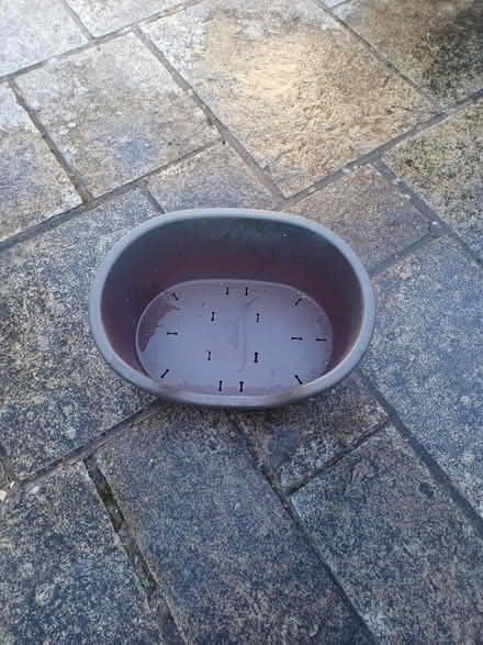 Photo of free Dog bed (Whitmore Park Coventry) #1
