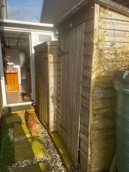 Photo of free Two garden sheds (Willingdon BN26) #4