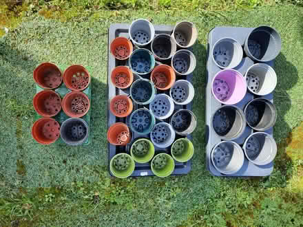 Photo of free Plant pots and trays, many sizes (Stanley Gate L39) #1