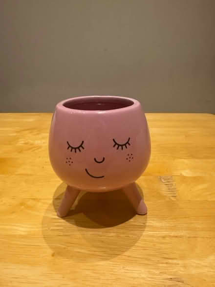 Photo of free Plant pot (N5) #1