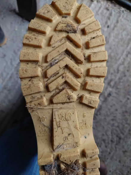 Photo of free Four pairs of wellies (Inwood SY6) #3