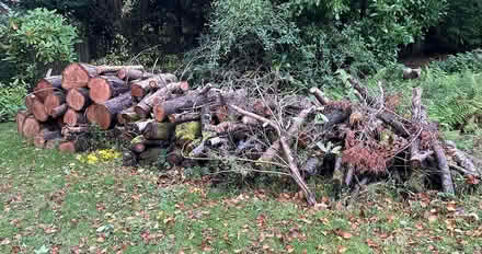 Photo of free Wooden Logs (Kilmacolm) #2