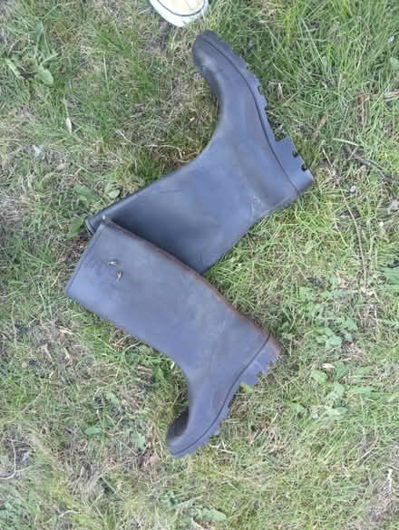 Photo of free Wellies size 10 (chesterfield S41) #1