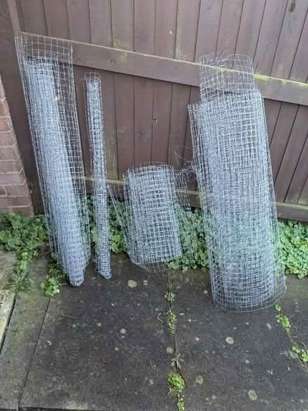 Photo of free Chicken Wire (PR25 leyland) #1