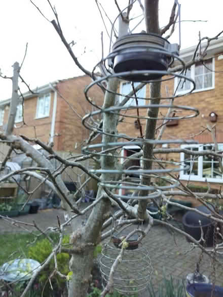 Photo of free 15 small garden lanterns (Southcote RG1) #3